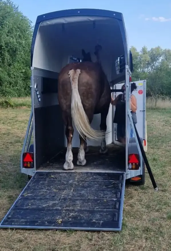 WhatsApp Bild 2025-11-10 um 19.05.05_10811a1a